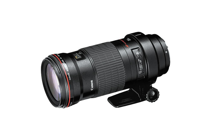 Canon EF-S DSLR lens portrait lenses 28-200 75-300 zoom telephoto 60mm  macro 18-55 full frame